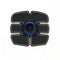 Black Abdomen